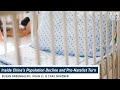 Inside China’s Population Decline and Pro-Natalist Turn