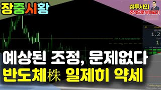 장중시황] 11/17 예상했던 조정, 문제없다 / 외국인 순매도 진행 / 반도체株 하락세, 전체적으로 쉬어가는 구간