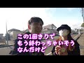 アメ稼ぎヌイコグマ・キテルグマ進化コミュニティデイ散歩【ポケモンgo】