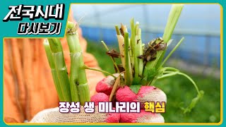 강원도 산불 1년,강기숲 외 [다시보기]