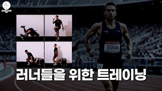 러너들을 위한 최적의 근력운동 프로그램