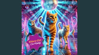 Disco Cat Power (On The Floor Mix)