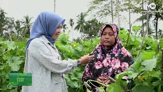 ZONA TANI  - AGROBISNIS DARI CEMPAKA