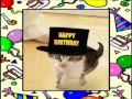 Happy Birthday Tap Dancing Kitten