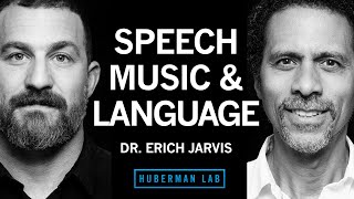 Dr. Erich Jarvis: The Neuroscience of Speech, Language \u0026 Music | Huberman Lab Podcast #87
