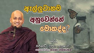 ඇල්ලුවාහම අහුවෙන්නේ මොකක්ද ? - Ven Aluthgamgoda Gnanaweera Thero | නිහඬ අරණ