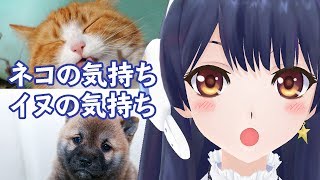 【動物で癒しを】水曜どっちでしょう 2019年4月10日 LiVE