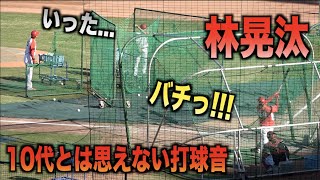 10代とは思えない！智弁和歌山出身の林晃汰のフリーバッティングがヤバい！