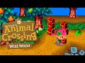 Animal Crossing: Wild World - Getting Our Affairs in Order