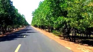 Rural road view from Kulen to Dam Dek district, Cambodia