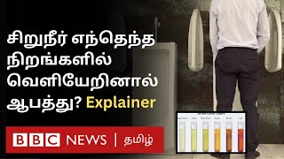 உங்க Urine Colour சொல்லும் ரகசியம் என்ன? இது தெரிஞ்சா Health Issues-ஐ முன் கூட்டியே அறியலாம்