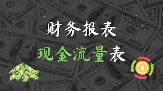 现金流量表的解读！现金流量表能提供什么信息呢·？（中文字幕）|  会计陈