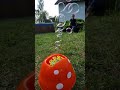 mushroom bubbles 2023 bubbles subscribe fun alotof bubble meditation holiday 1000subscriber