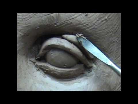 Sculpting open eyes in clay. Sculpting tutorial. Sculpting open eyes in clay. Sculpting tutorial.