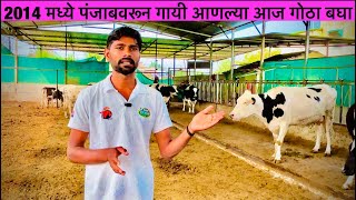 त्यावेळेला 80 ते 90 हजारामध्ये पंजाबवरून गायी आणल्या |Hf Cow Farm