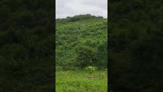 Drone Autonomous spraying In Irregular topography