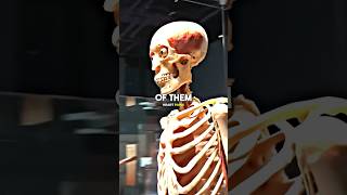 Joe Rogan Reacts On Body Exhibition