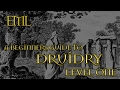 A BEGINNERS GUIDE TO DRUIDRY  LEVEL ONE