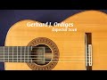 ゲルハルド・オルディゲス Gerhard J. Oldiges Especial 2016年製 フリア・フロリダ（バリオス）