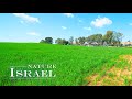 Beautiful Relaxing Music for Stress Relief. Nature in ISRAEL