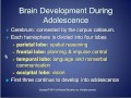 adolescent cognitive development