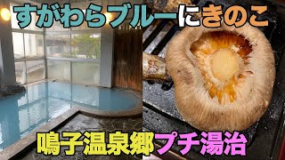 【#0182】鳴子温泉郷でいつものルーティーン【鳴子温泉旅館すがわら】【すがわらブルー】【赤這温泉阿部旅館】【焼肉八兆】【あ・ら・伊達な道の駅】【カレーバイキング】