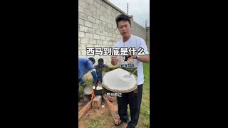 这回你们做的西玛是什么东西了吧