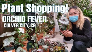 Shopping for Houseplants | Orchid Fever - Culver City, CA