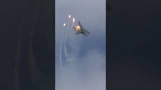 F-22 Raptor Dazzles the Crowd #f22 #usaf #aviation #airshow