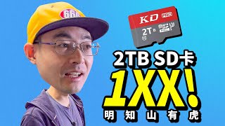 20$ 2TB TF card？WTF!Tiger in MingZhi Mountain