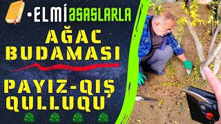 🍂 Ağaclara qulluq - Payız fəslində bu qulluqları et | Ağac budama | #elmiəsaslarla