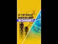 Is the Great Barrier Reef In Danger? | The Daily Aus #shorts