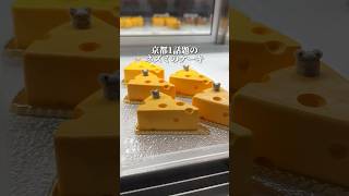 京都1話題のネズミのケーキ