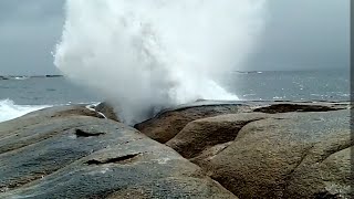 Powerful and thrilling blowhole, Bicheno - Tasmania's natural wonder - come and see the East Coast