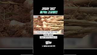 과일은 '금값' 물가는 고공행진