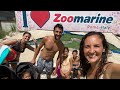 Zoo Marine Rome Italy - what to do in Italy with kids