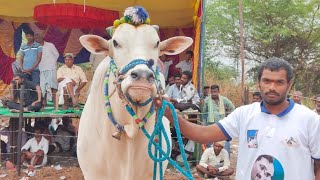 2024-గురజాల.6పళ్ళు🥉🏆GMR మెమోరియల్ కొల్లిపర కంబైన్డ్ మోదుగుల రామిరెడ్డి గారు పెద్దపరమి గుంటూరు జిల్లా