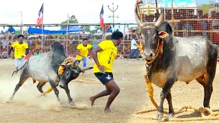 திருச்சி கோசகுறிச்சி அழகர் சாமி காளை🔥