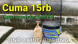 UNBOXING || Burung murah bersuara mewah seperti KACER. Burung ENDEMIK tanah Jawa