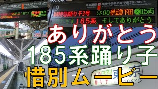 【惜別】さよなら185系特急踊り子の想い出…185系に贈る惜別ムービー A traveling movie on the Tokaido Line, exress train \