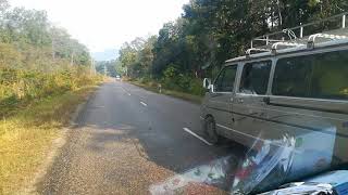 Bardiya Tiger  on the Road