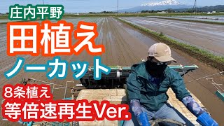 8条植　田植え　ノーカット　通常再生