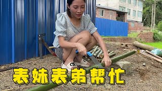 场地竹子不够二哥又来了，表弟表妹一起来帮忙，工作效率提高不少【柳州二哥】