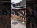 「愛のパラドックス：奈良公園の鹿がもたらした喜びといたずら nara deer park in japan 奈良日 本旅行 へずまりゅう奈 良公園 japan animals