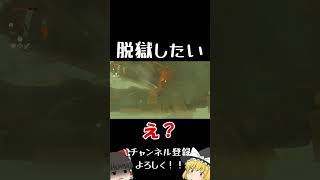 脱獄しても秒でバレるんだが...【ゼルダの伝説ティアーズオブザキングダム】【ゆっくり実況】