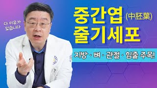 중간엽줄기세포 연골분화, 관절염치료 가능한 이유가 다 있습니다