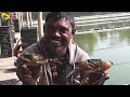 the truth horrifying how american fisherman fights giant conger eel in alaska farming documentary