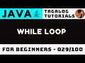 Java While Loop Explained (How It Works for Beginners)