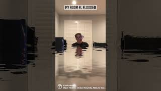 David S Room Flooded Shorts