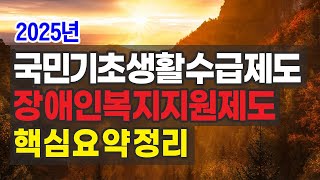 2025년 국민기초생활수급제도와 장애인복지 지원제도 연계 핵심정리